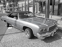 1975 Chevrolet Caprice Convertibie(쒆)